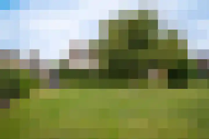 Rooijsestraat 99 Dreumel thumbnail 49