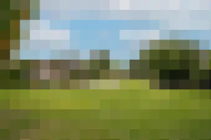 Rooijsestraat 99 Dreumel thumbnail 50