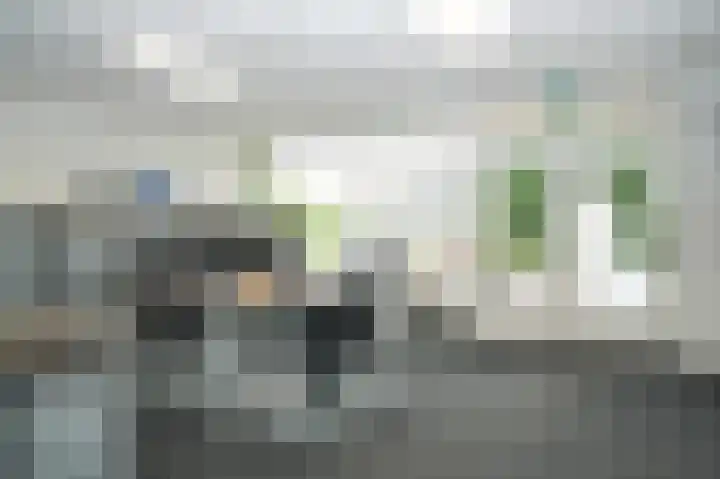 Rooijsestraat 99 Dreumel thumbnail 55
