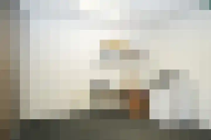 Rooijsestraat 99 Dreumel thumbnail 57