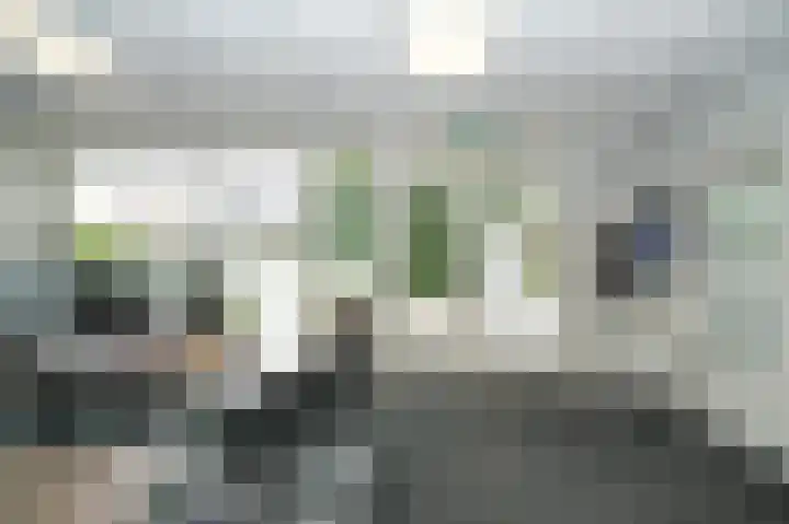 Rooijsestraat 99 Dreumel thumbnail 58