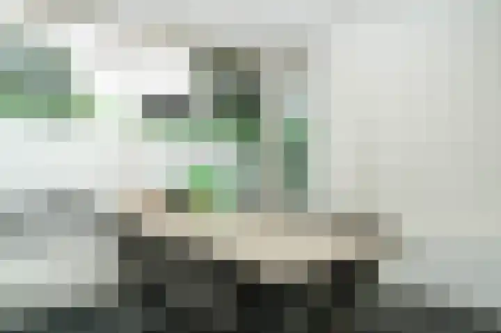 Rooijsestraat 99 Dreumel thumbnail 59