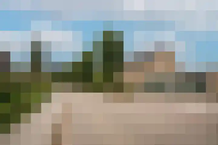 Rooijsestraat 99 Dreumel thumbnail 62