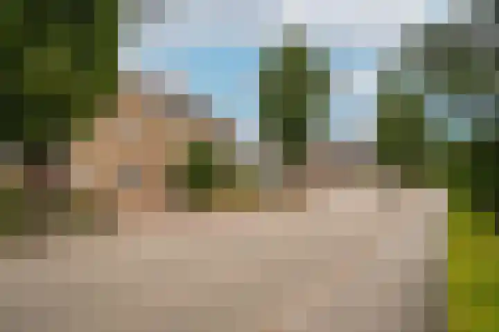 Rooijsestraat 99 Dreumel thumbnail 63