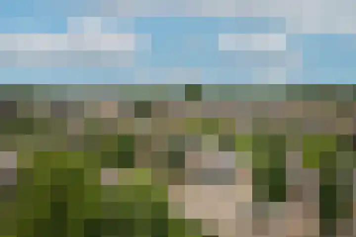 Rooijsestraat 99 Dreumel thumbnail 64