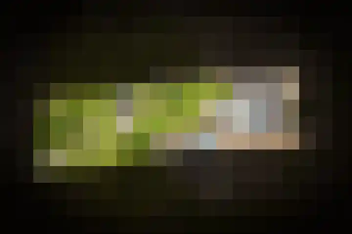 Rooijsestraat 99 Dreumel thumbnail 65