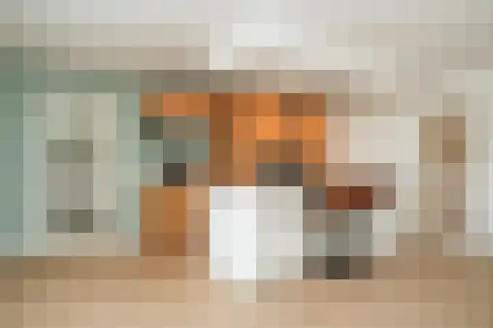 Rooijsestraat 99 Dreumel thumbnail 7