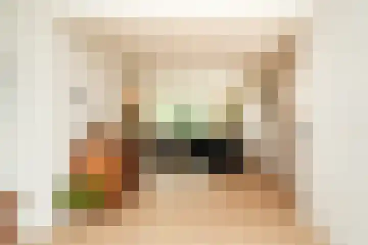 Rooijsestraat 99 Dreumel thumbnail 8