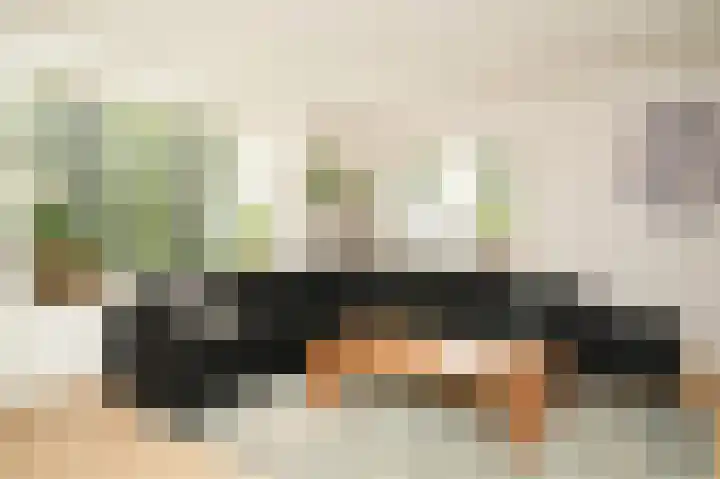 Rooijsestraat 99 Dreumel thumbnail 9