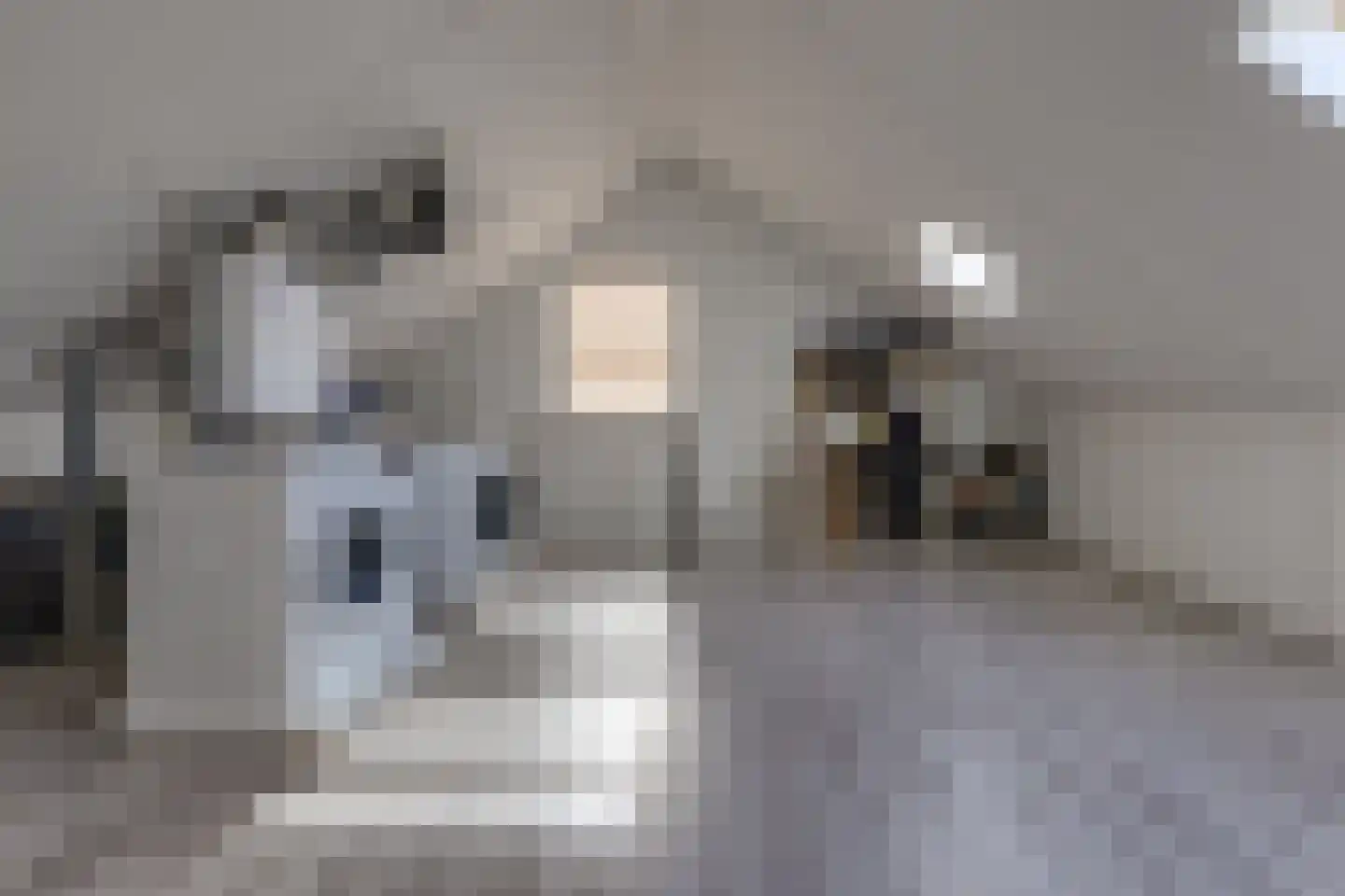 Rooilaan 37 Valthermond thumbnail 29