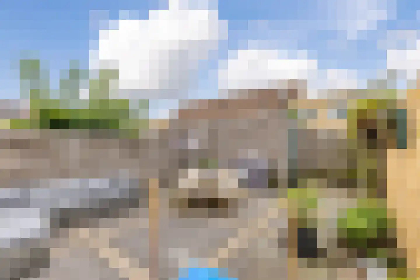 Rooimeester 2 Assendelft thumbnail 10