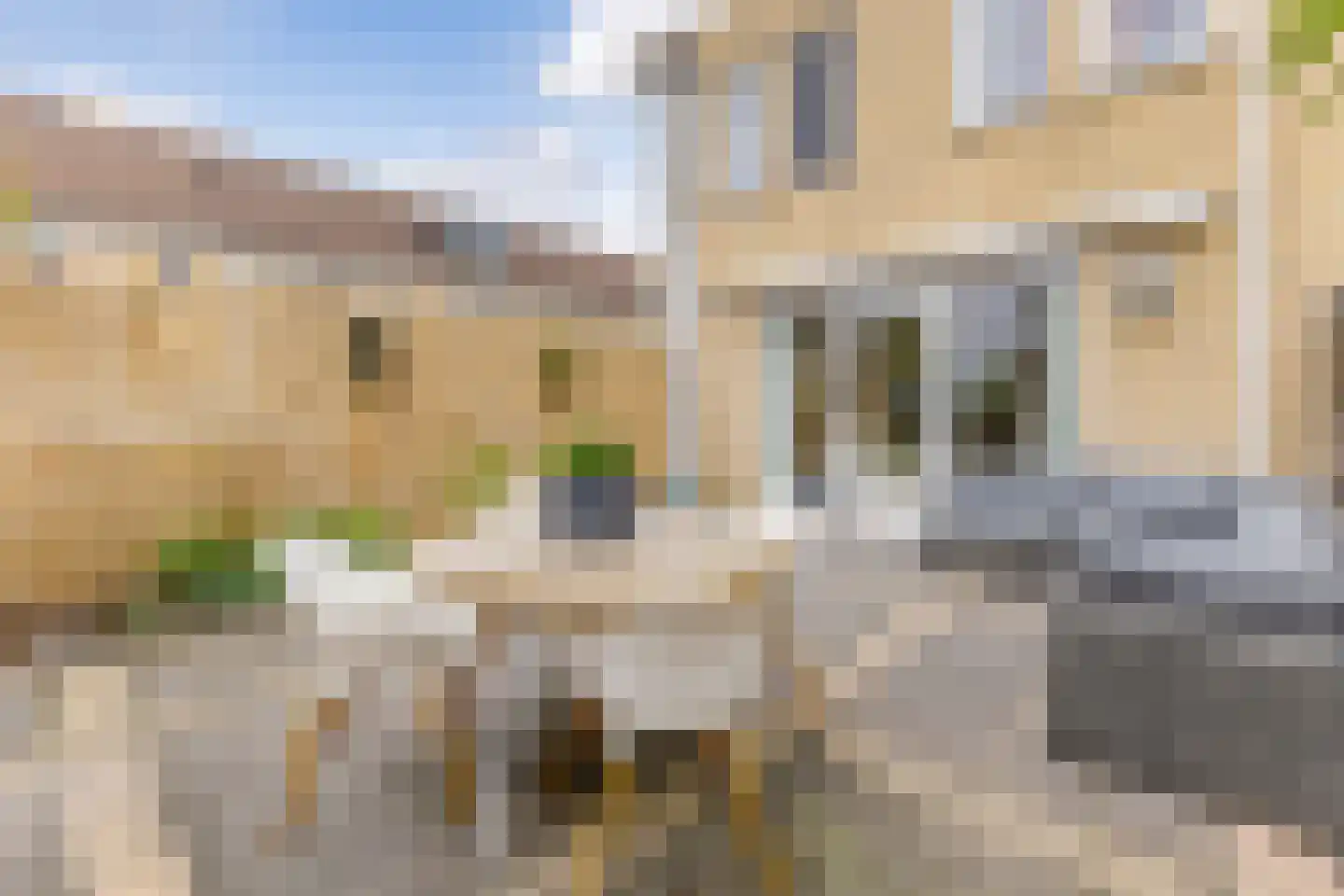 Rooimeester 2 Assendelft thumbnail 11