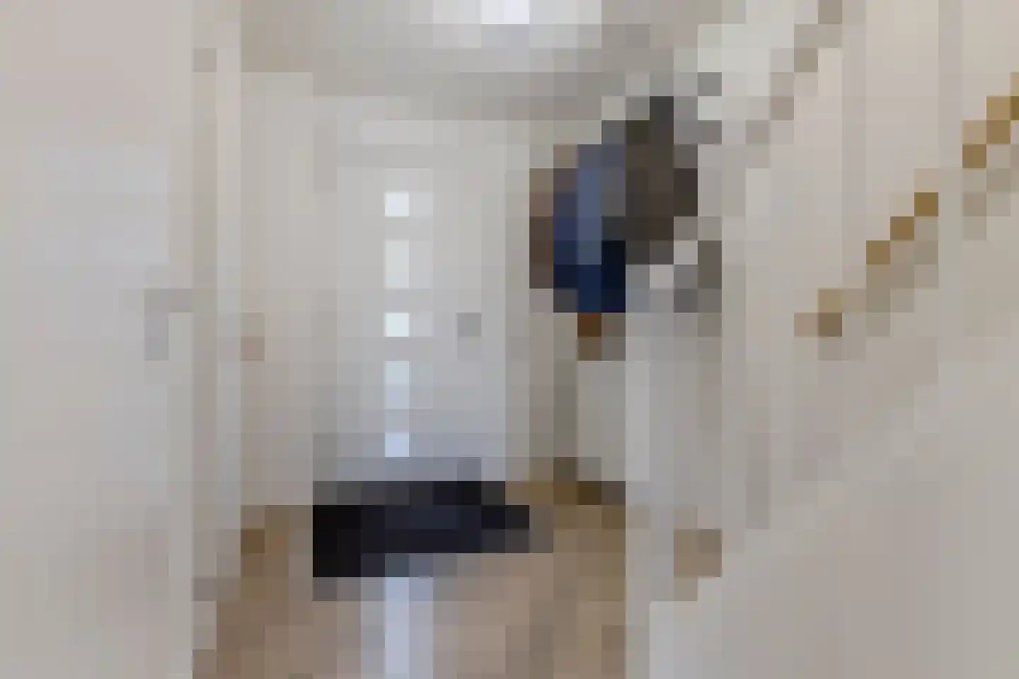 Rooimeester 2 Assendelft thumbnail 14