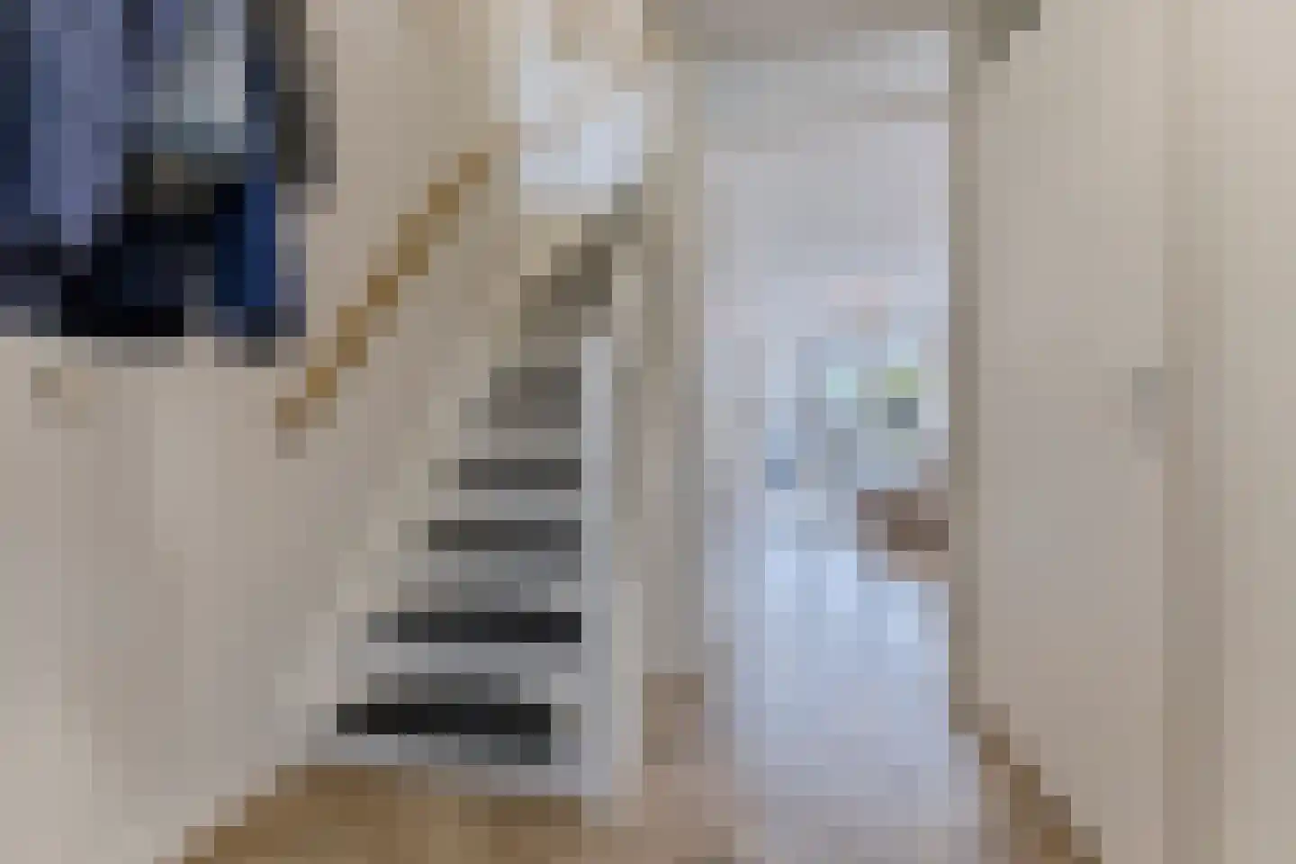 Rooimeester 2 Assendelft thumbnail 15