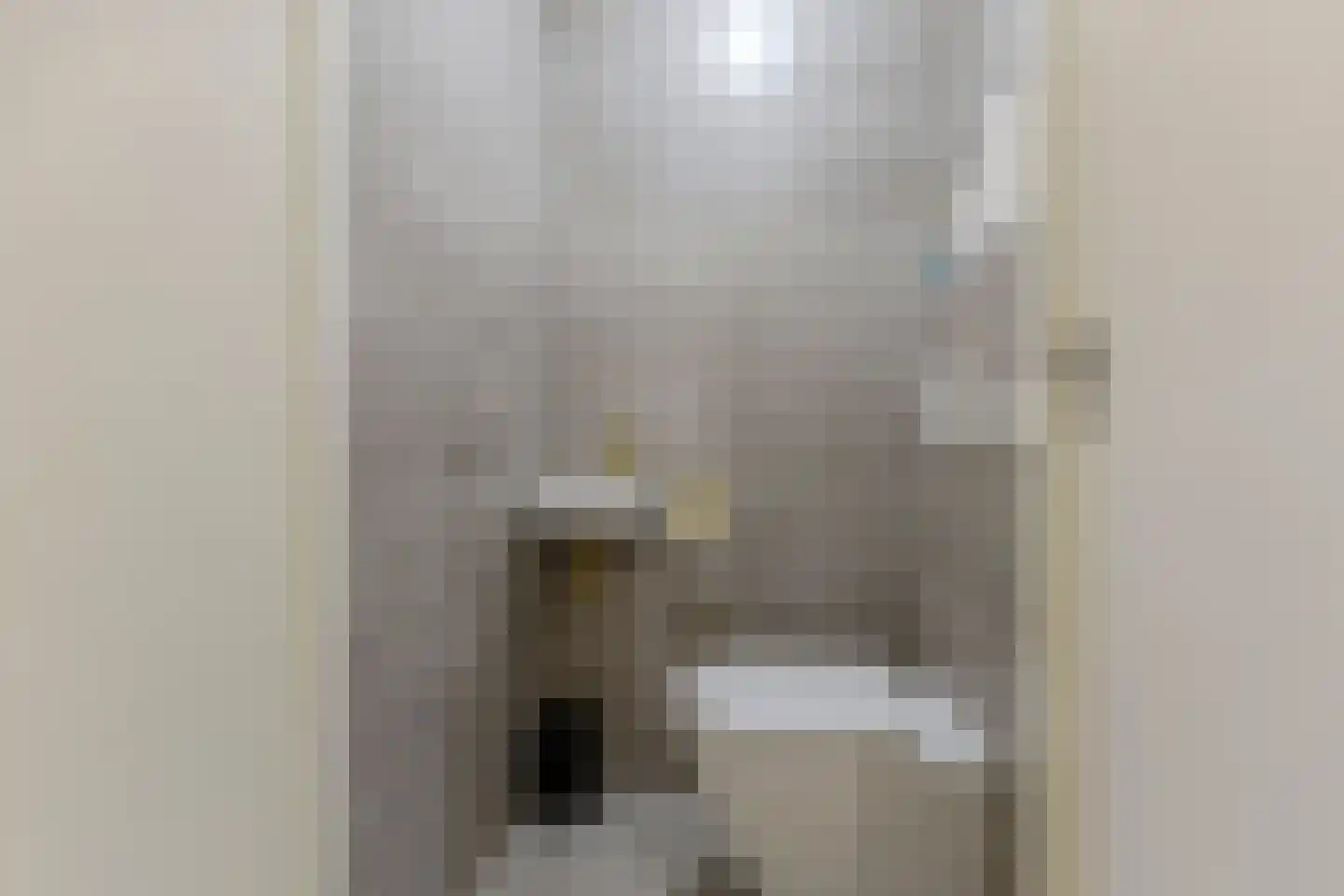 Rooimeester 2 Assendelft thumbnail 16