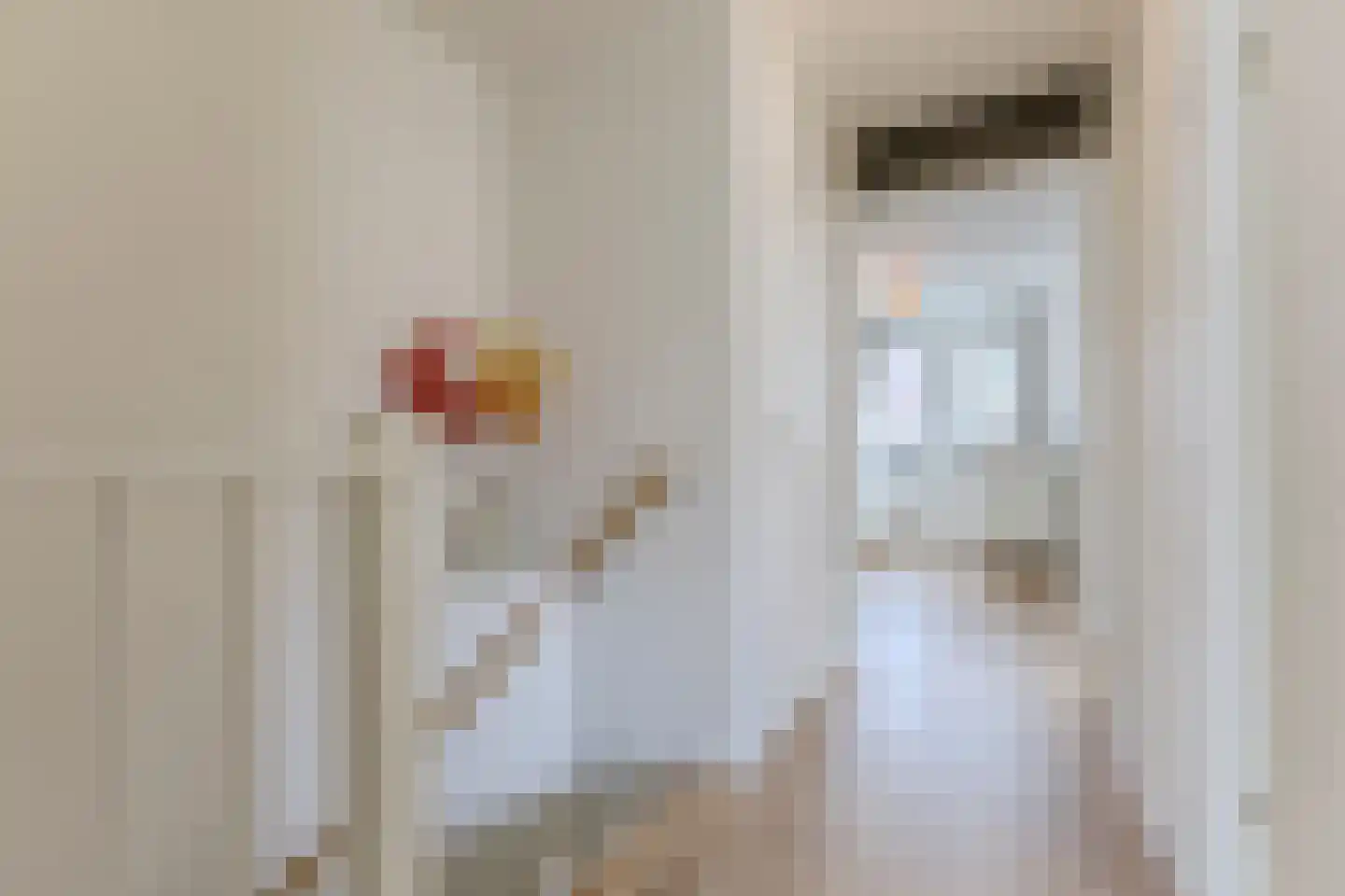 Rooimeester 2 Assendelft thumbnail 17