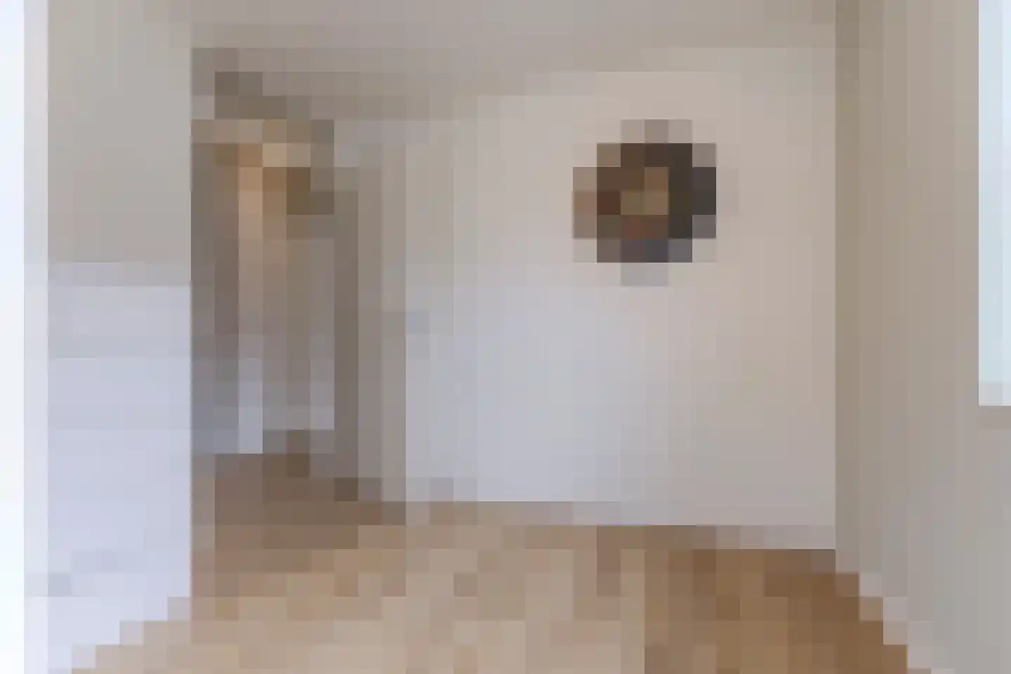 Rooimeester 2 Assendelft thumbnail 26