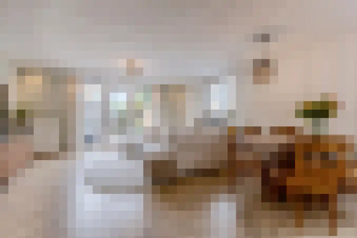 Rooimeester 2 Assendelft thumbnail 4