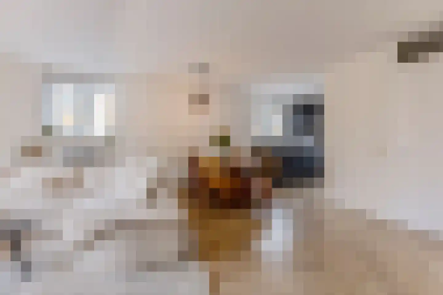 Rooimeester 2 Assendelft thumbnail 5