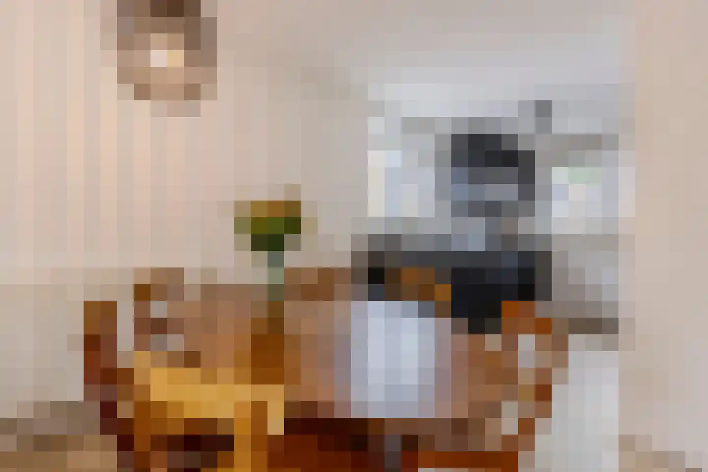 Rooimeester 2 Assendelft thumbnail 6