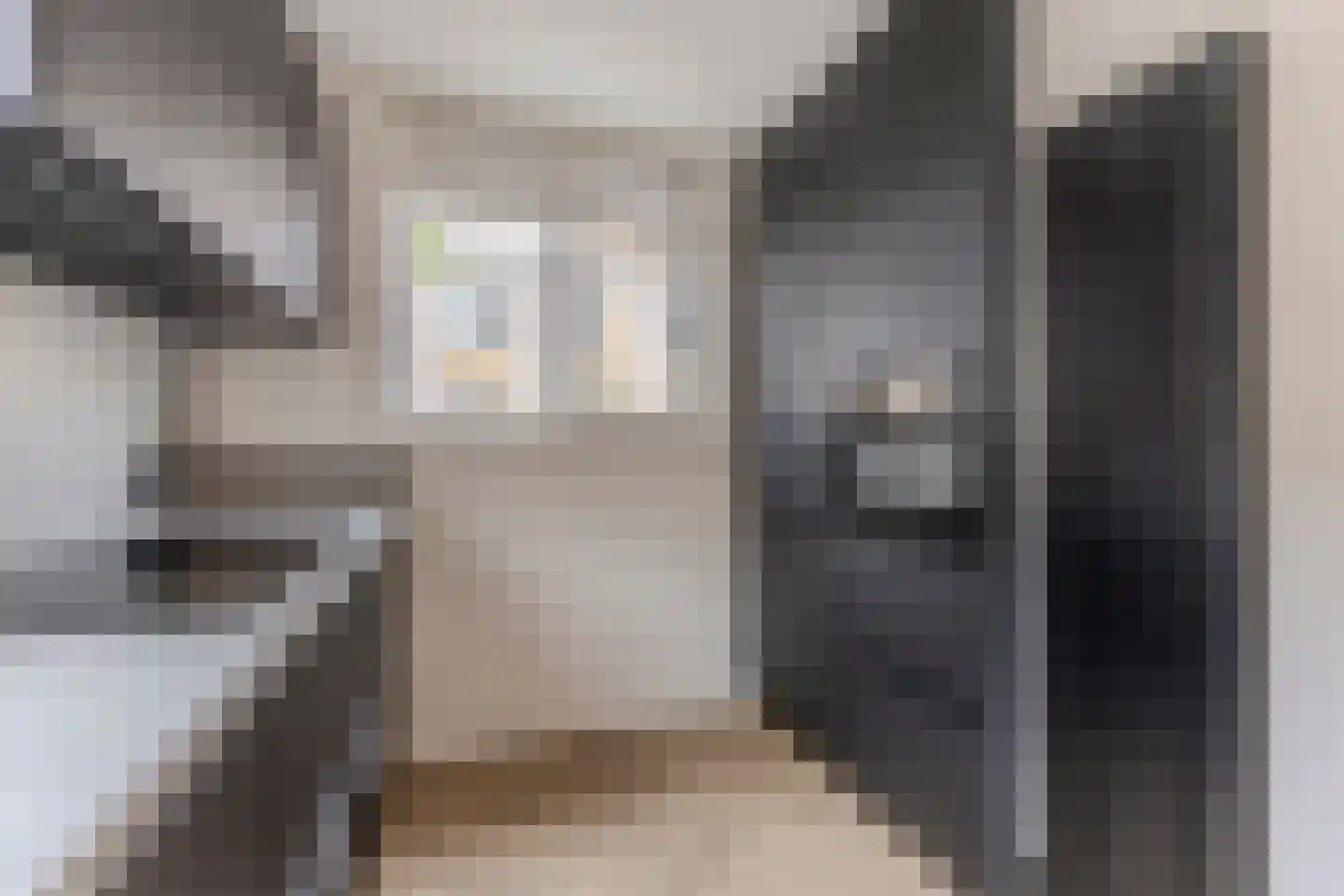 Rooimeester 2 Assendelft thumbnail 8