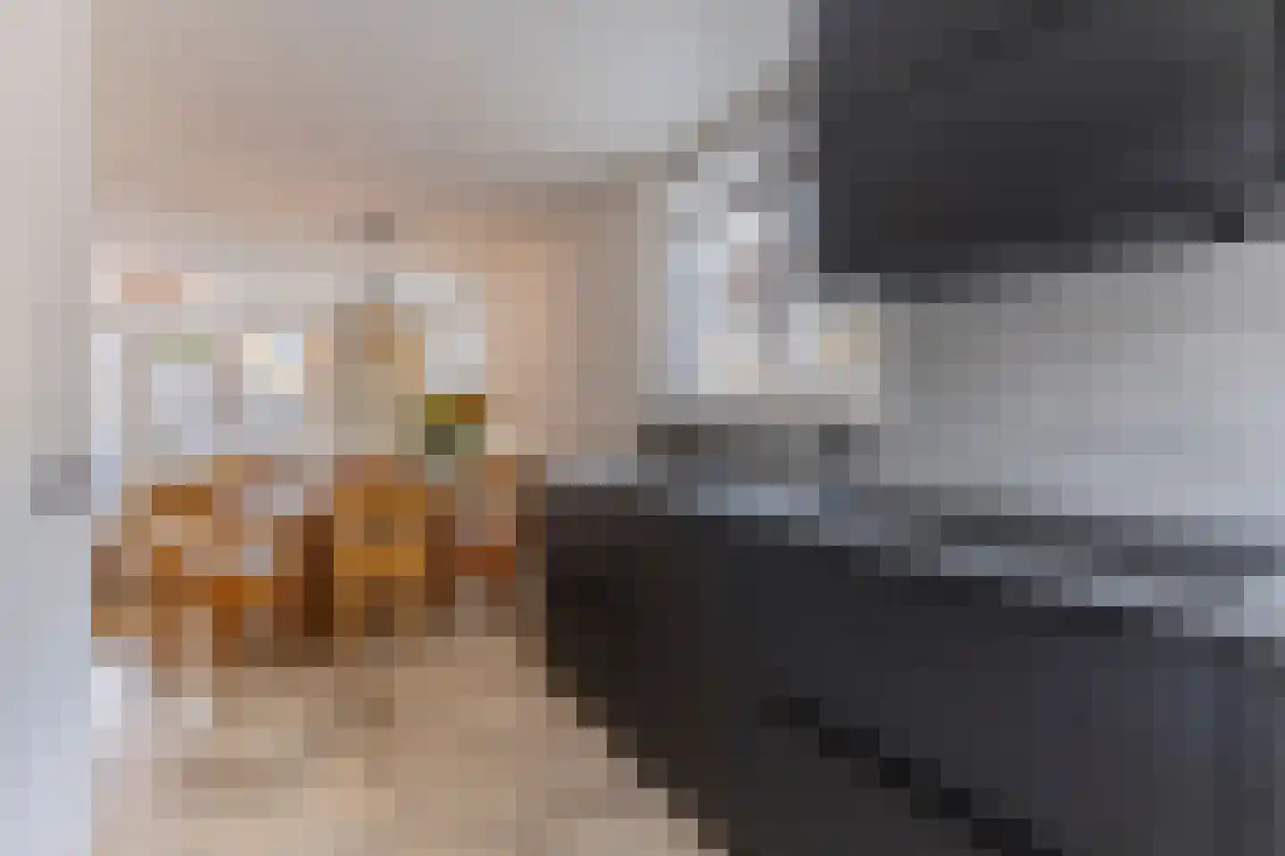 Rooimeester 2 Assendelft thumbnail 9