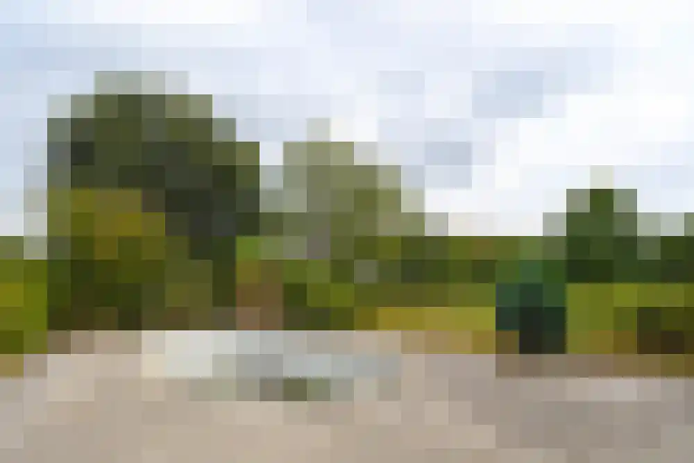 Rooisestraat 1 Waalre thumbnail 10