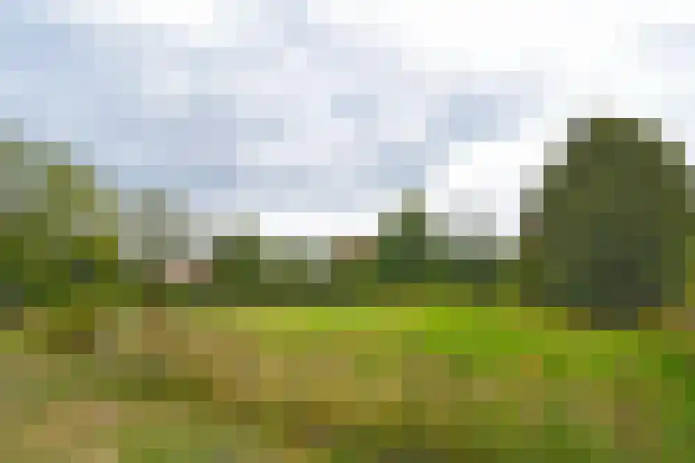 Rooisestraat 1 Waalre thumbnail 11