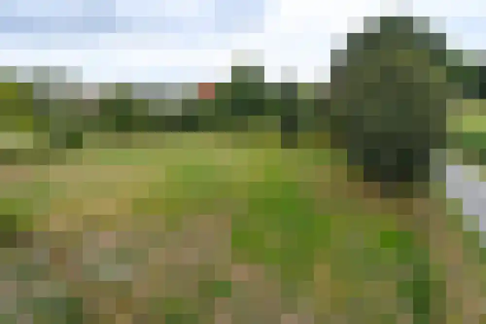 Rooisestraat 1 Waalre thumbnail 12