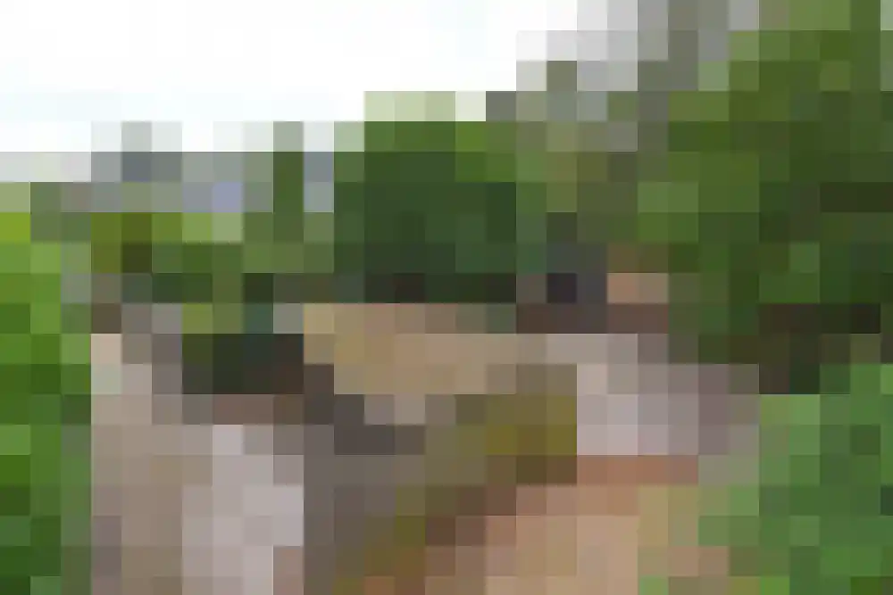 Rooisestraat 1 Waalre thumbnail 9