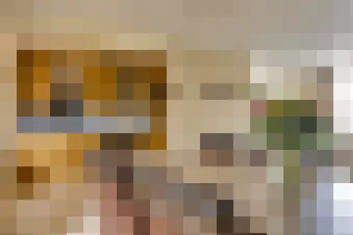 Rooiweg 7 Milheeze thumbnail 10