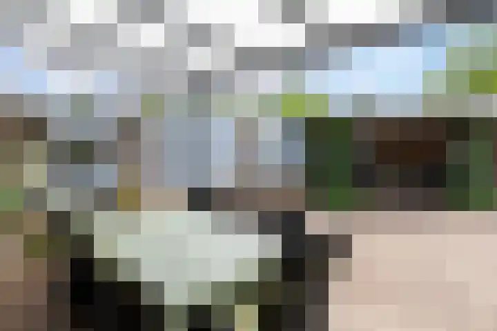 Rooiweg 7 Milheeze thumbnail 23