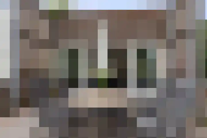 Roojan 10 Ugchelen thumbnail 21