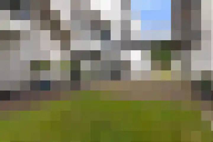 Roojan 10 Ugchelen thumbnail 29