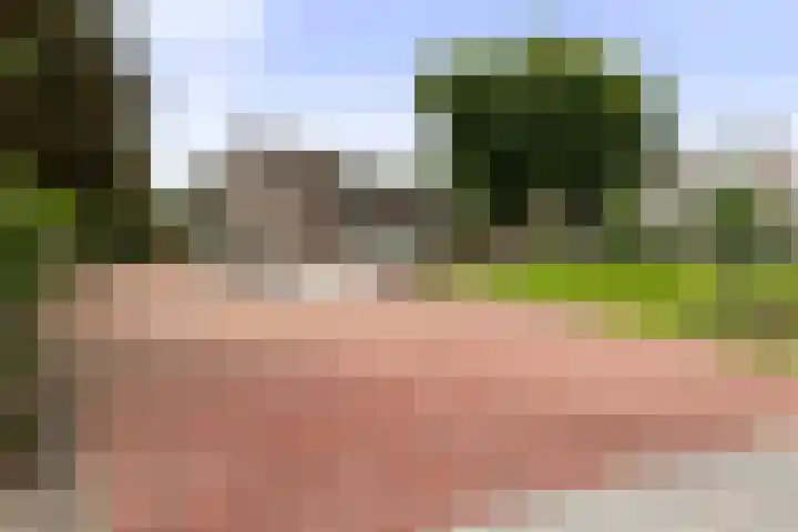 Roojan 10 Ugchelen thumbnail 31