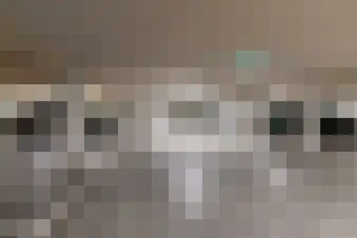 Roojan 10 Ugchelen thumbnail 32