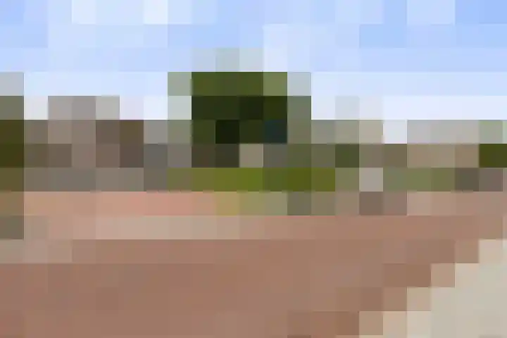 Roojan 10 Ugchelen thumbnail 34