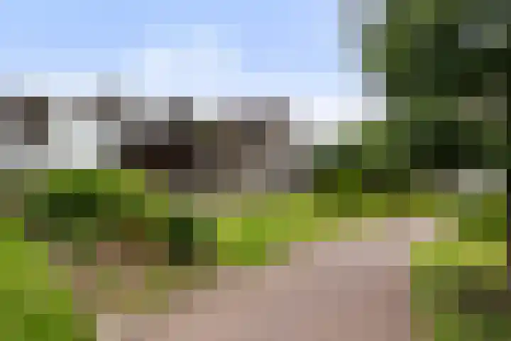 Roojan 10 Ugchelen thumbnail 35