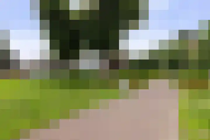Roojan 10 Ugchelen thumbnail 36