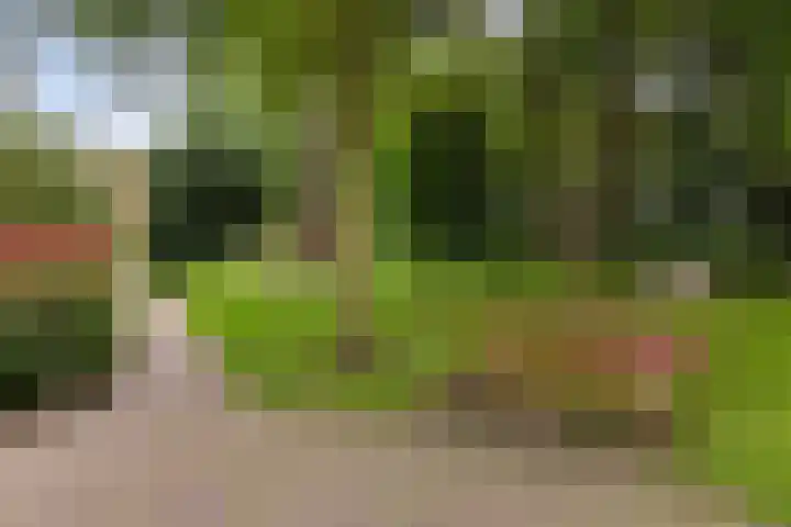 Roojan 10 Ugchelen thumbnail 37