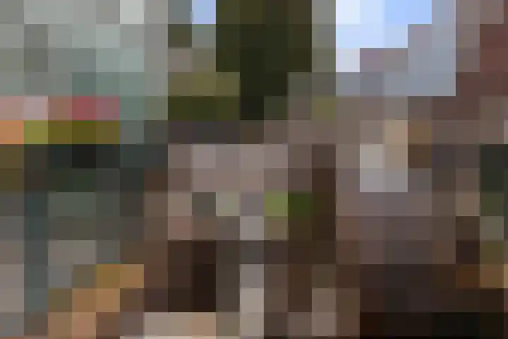 Roojan 10 Ugchelen thumbnail 41