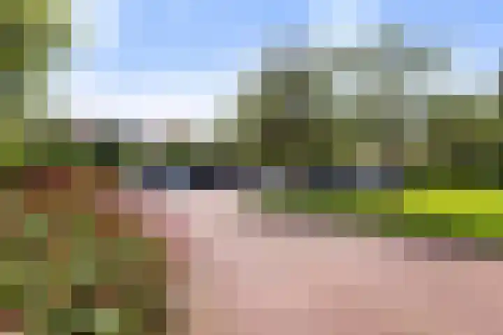 Roojan 10 Ugchelen thumbnail 42