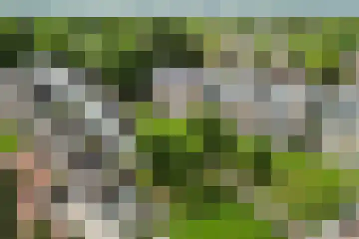 Roojan 10 Ugchelen thumbnail 43