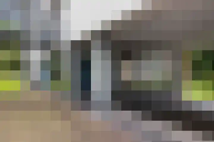 Roojan 10 Ugchelen thumbnail 6