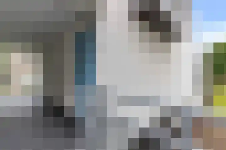 Roojan 10 Ugchelen thumbnail 9