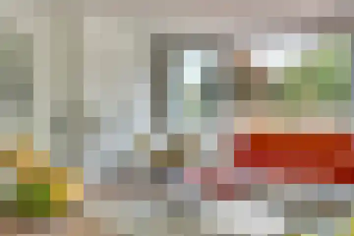 Roojan 2 Ugchelen thumbnail 12