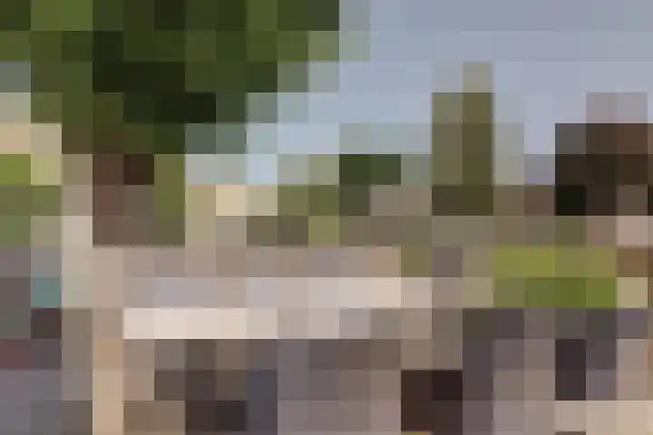 Roojan 2 Ugchelen thumbnail 14