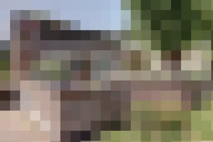 Roojan 2 Ugchelen thumbnail 15