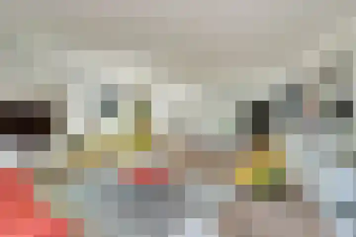 Roojan 2 Ugchelen thumbnail 18