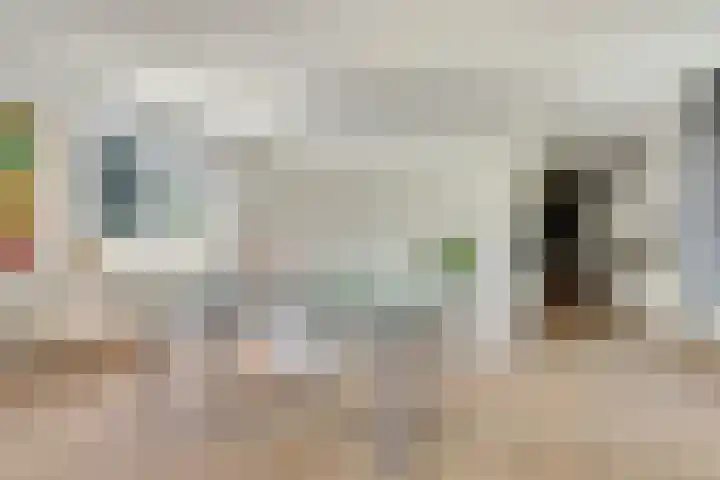 Roojan 2 Ugchelen thumbnail 21